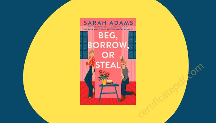 beg borrow or steal sarah adams pdf