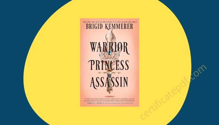 warrior princess assassin brigid kemmerer pdf