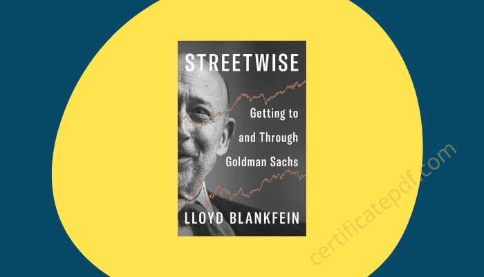 streetwise getting to and through goldman sachs pdf
