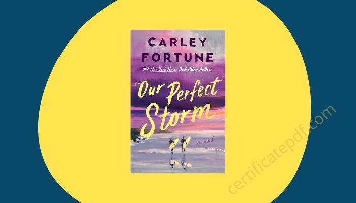 our perfect storm carley fortune pdf